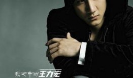 明星大爆料最新歌手是谁,揭秘最新歌手身份，是谁引发娱乐圈热议？