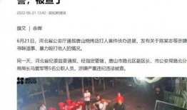 最近唐山爆料案件最新进展,案情梳理与调查进展全解析