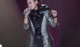 明星大爆料最新歌手是谁,揭秘最新歌手身份，是谁引发娱乐圈热议？