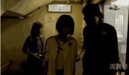 鲁豫菜市场爆料视频最新,揭秘最新市场动态与热门话题