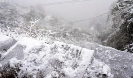 昆明爆料下雪事件视频最新,市民欢声笑语迎瑞雪