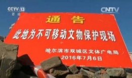 新闻爆料强拆事件案例最新,居民家园一夜之间化为乌有