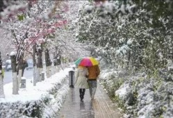 昆明爆料下雪事件视频最新,市民欢声笑语迎瑞雪