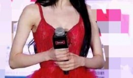 杨莹的最新爆料,娱乐圈惊人内幕大曝光！