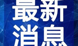 最新新康饭菜爆料视频大全,一探究竟的美食揭秘