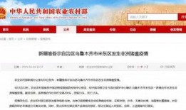 米東區爆料最新新聞事件,最新進展及影響概述